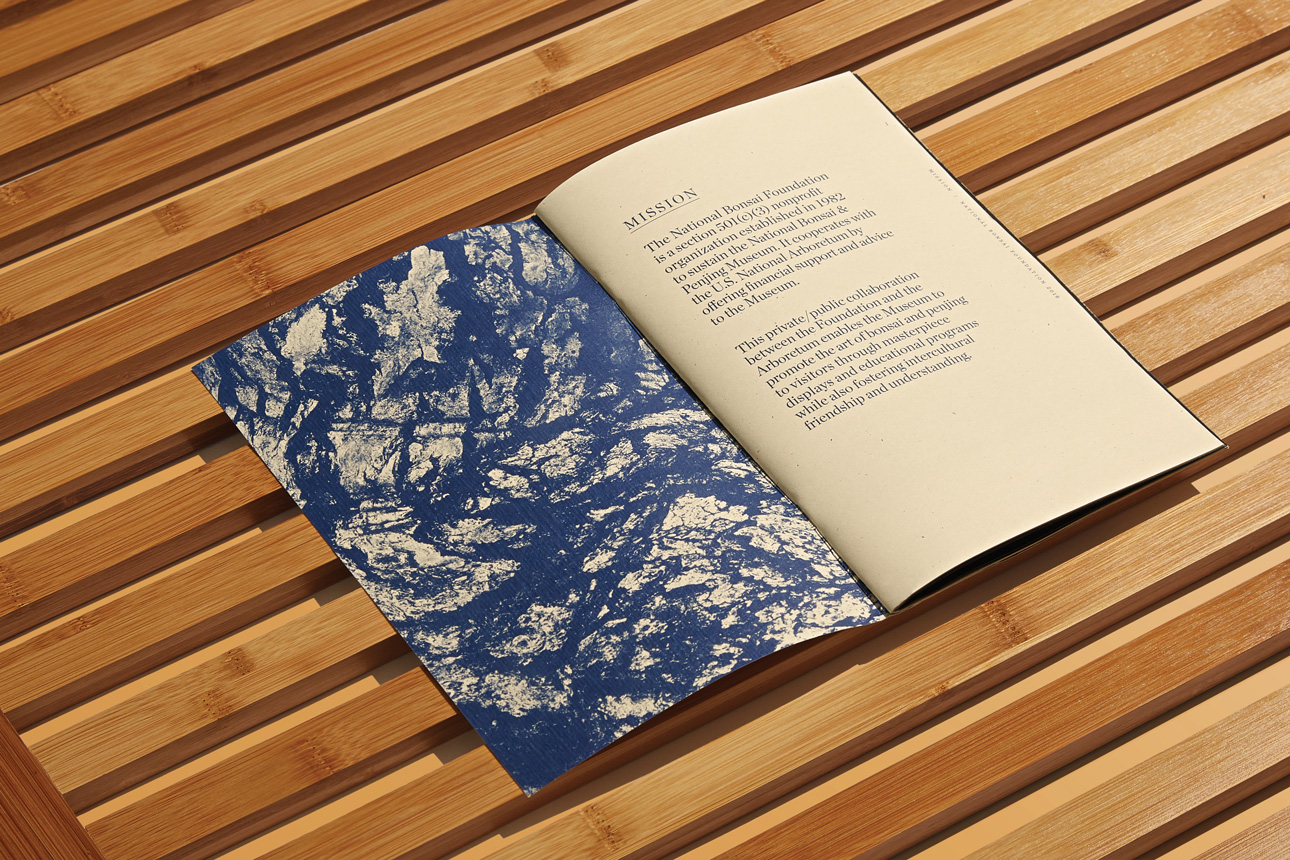 03_BonsaiAR_MissionOpener_ReportLayout