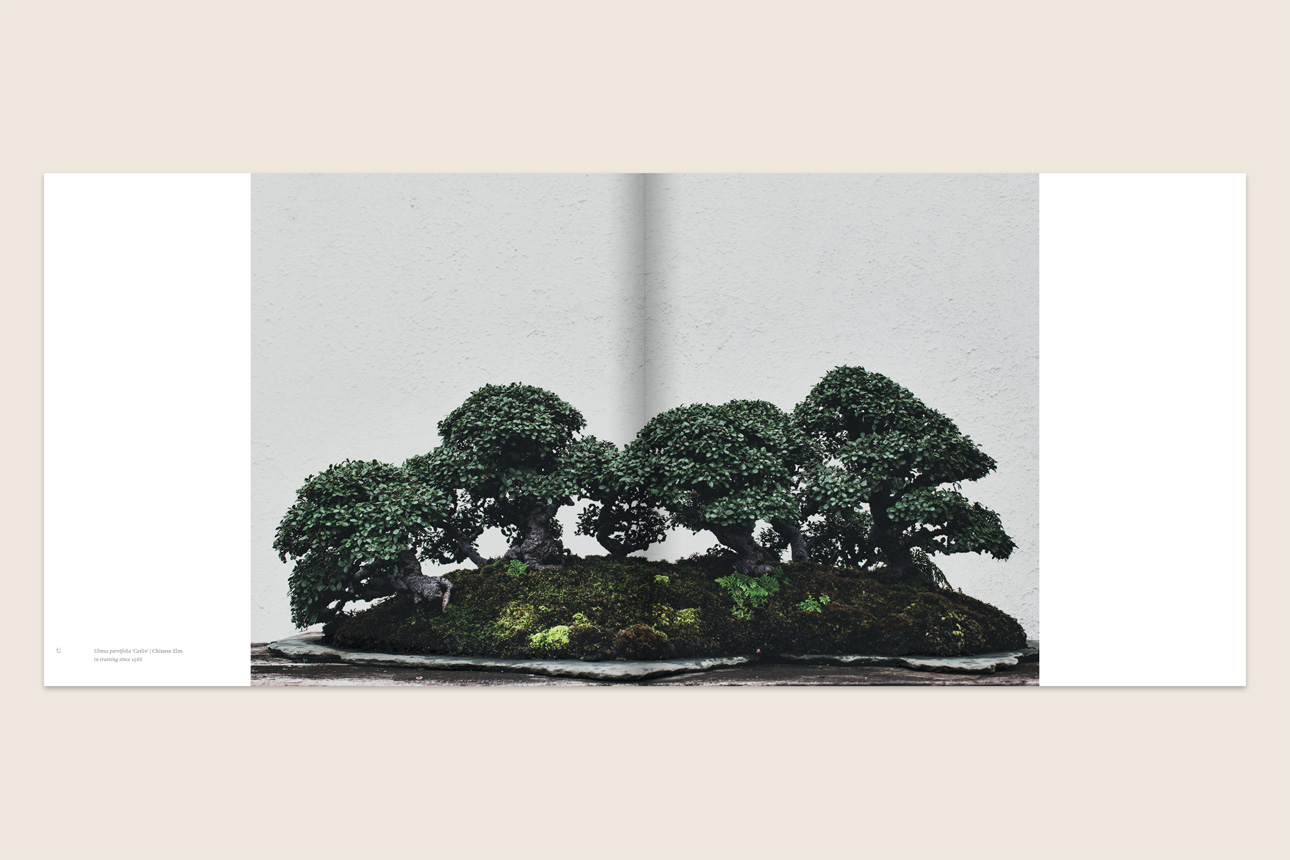 04_Bonsai_UniqueSpread