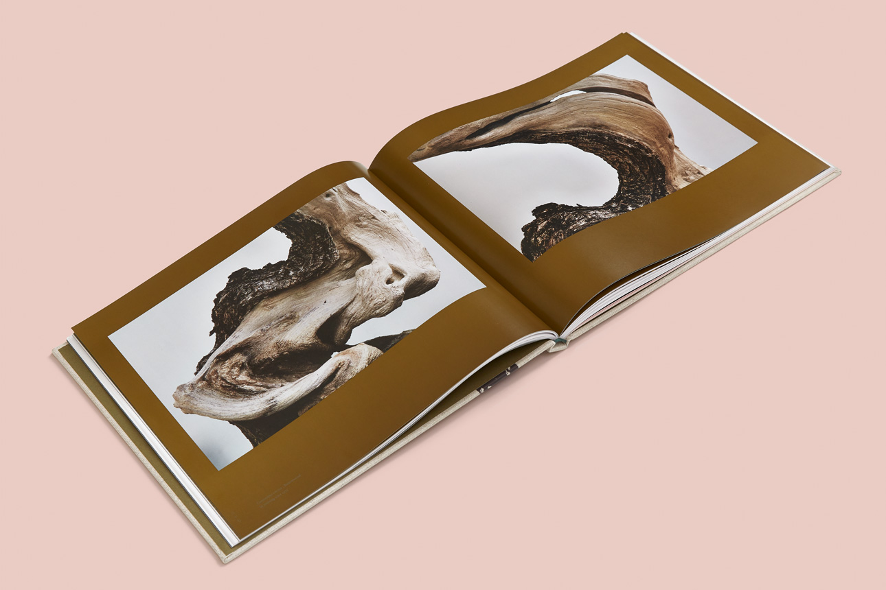 06_Bonsai_DarkSpread