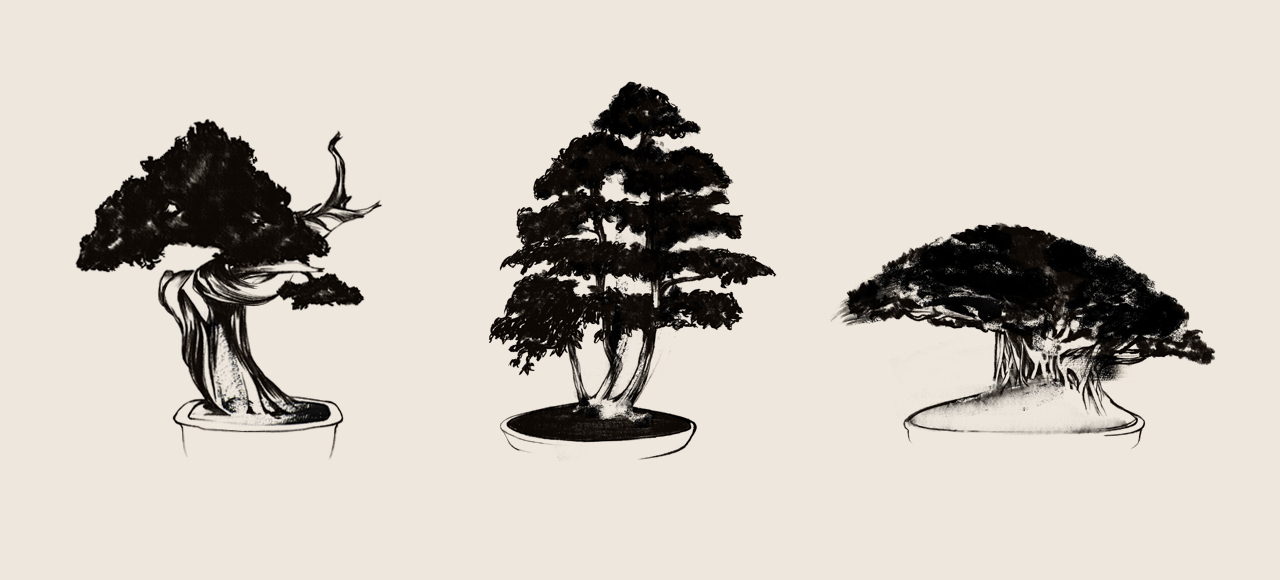 08_Bonsai_TreeIllustrations