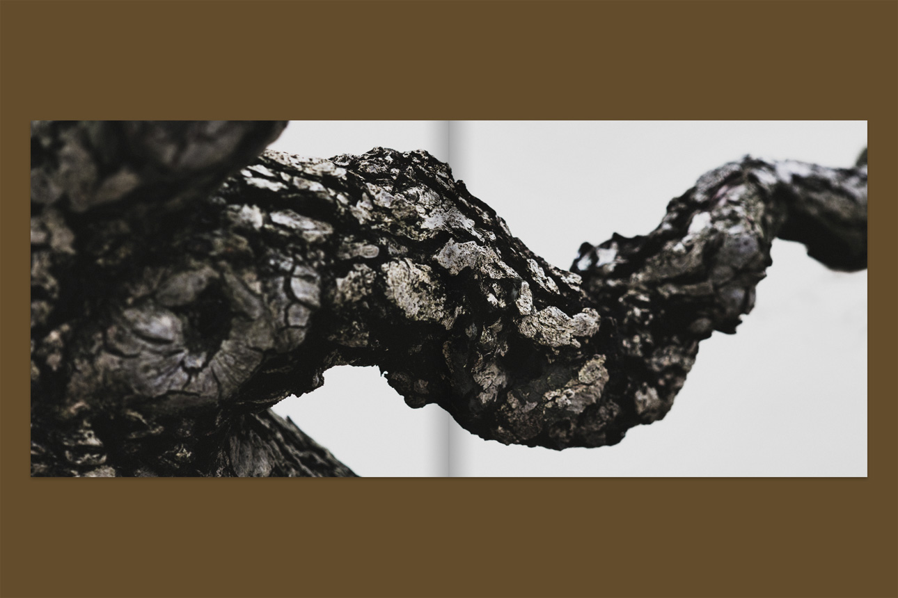 09_Bonsai_AlternateSpread